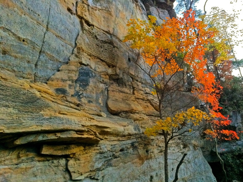 Natural Bridge State Park